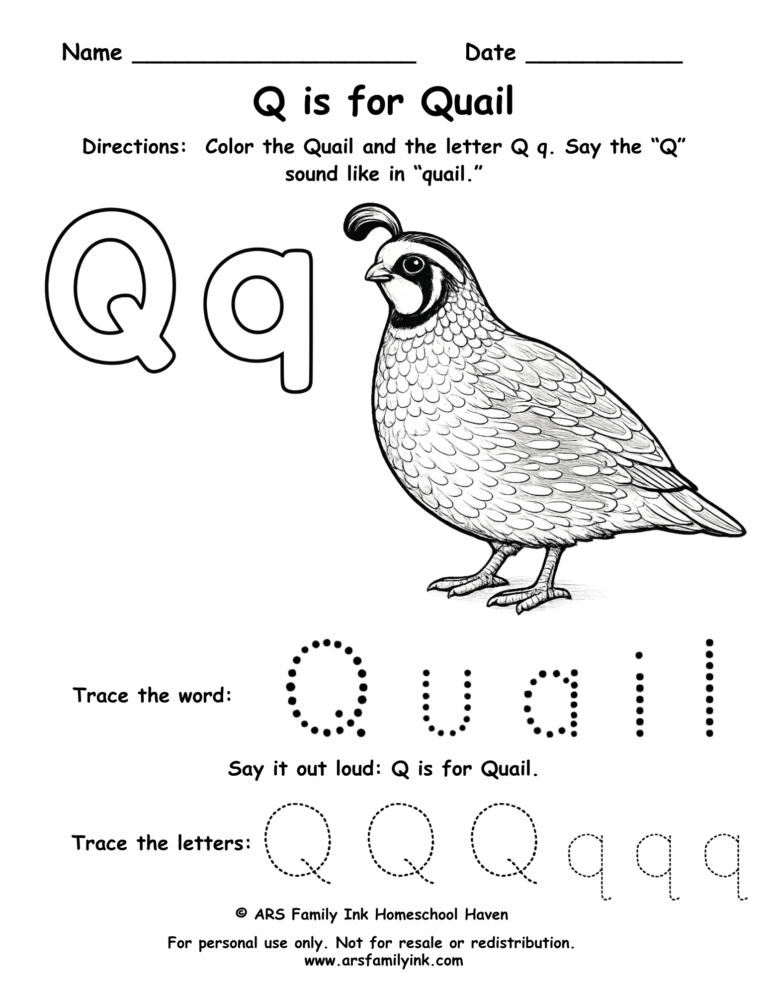 Letter Q worksheet for preschool featuring quail coloring page and tracing practice