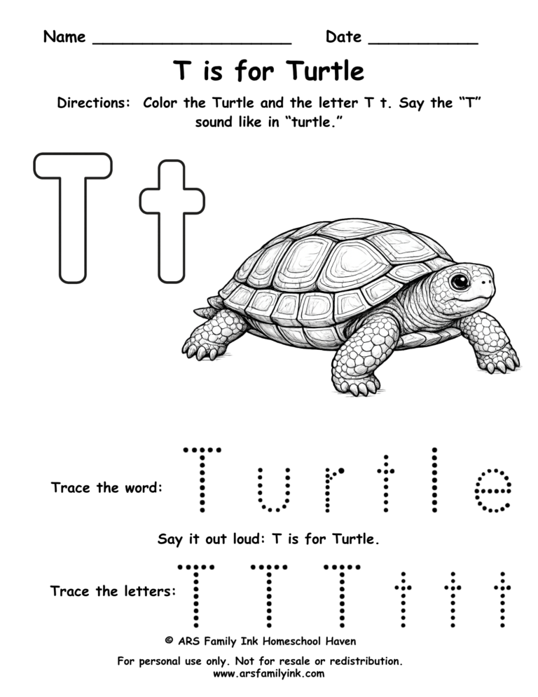 Letter T worksheet for preschool showing T is for turtle with tracing word turtle and uppercase and lowercase letter practice