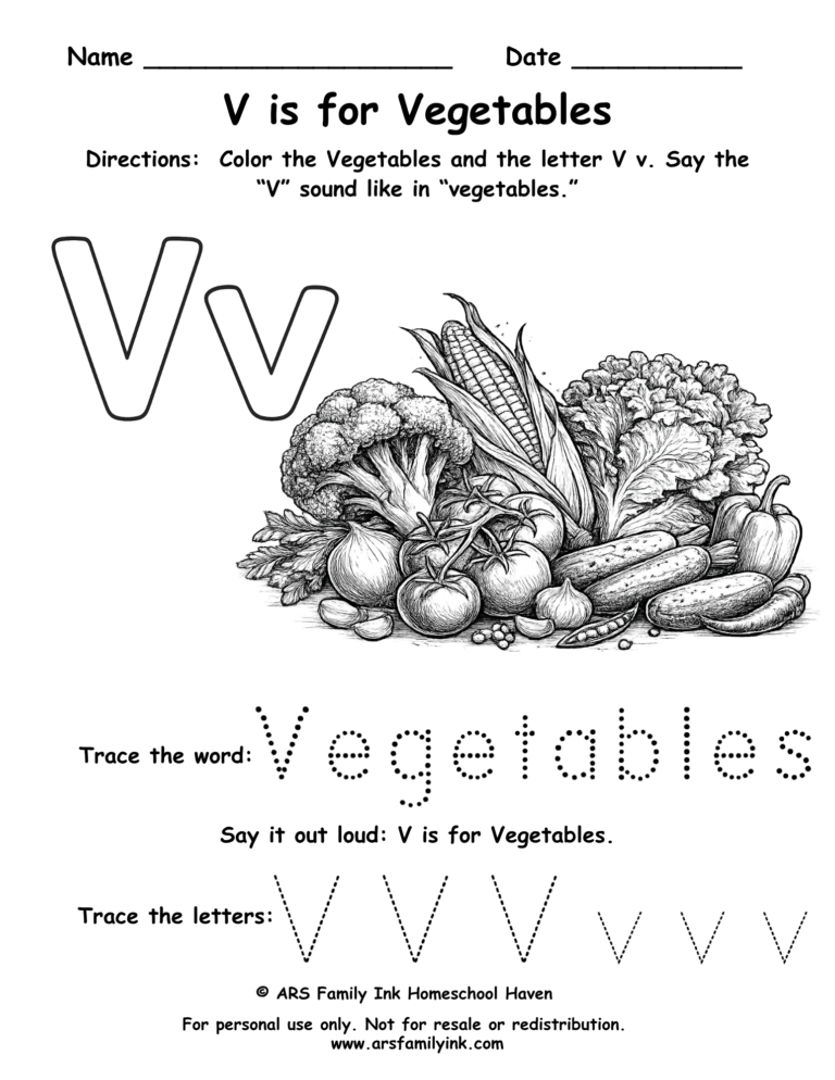 Letter V worksheet for preschool featuring V is for vegetables with tracing word vegetables and uppercase and lowercase V practice