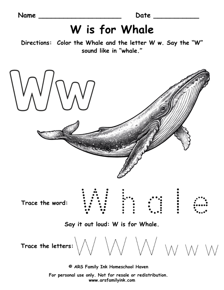 Letter W worksheet for preschool featuring W is for whale with tracing word whale and uppercase and lowercase W practice