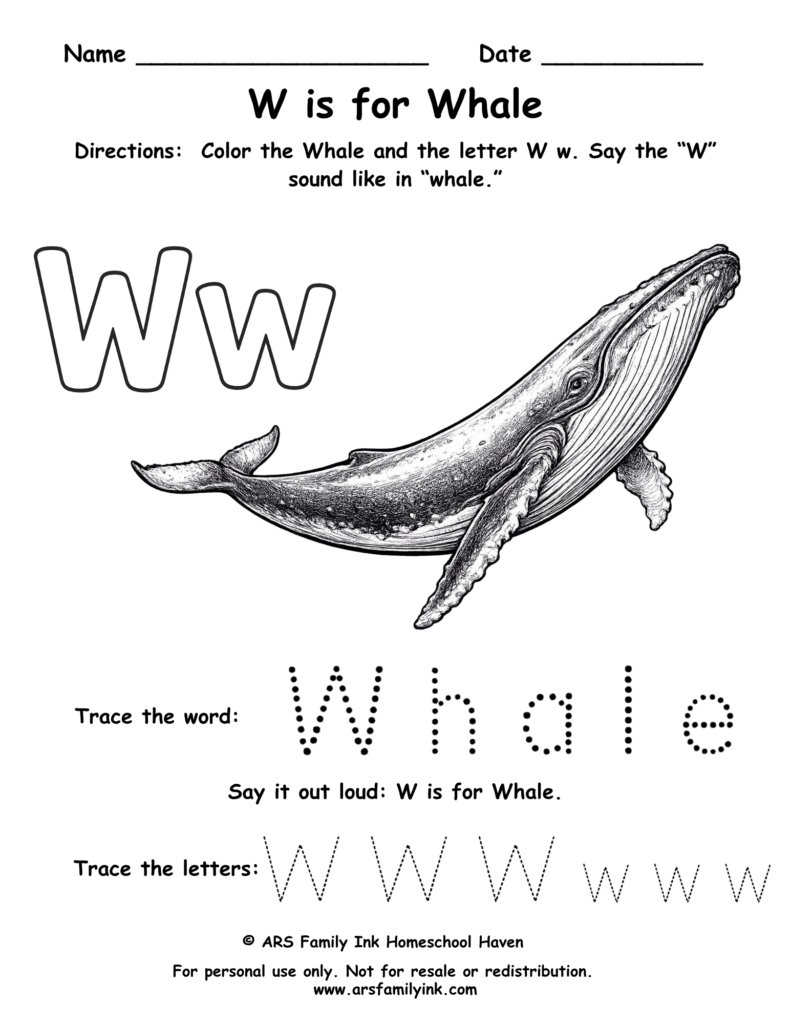 Letter W worksheet for preschool featuring W is for whale with tracing word whale and uppercase and lowercase W practice