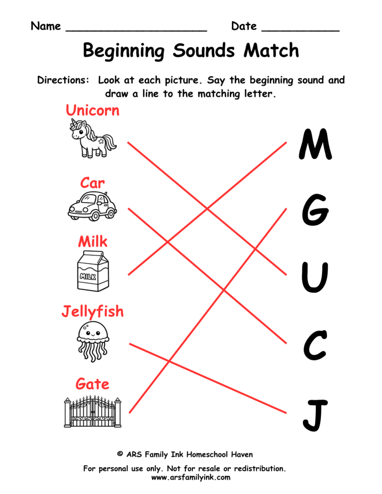 Beginning sounds match answer key for a preschool phonics worksheet showing pictures connected to the correct beginning letter sounds.