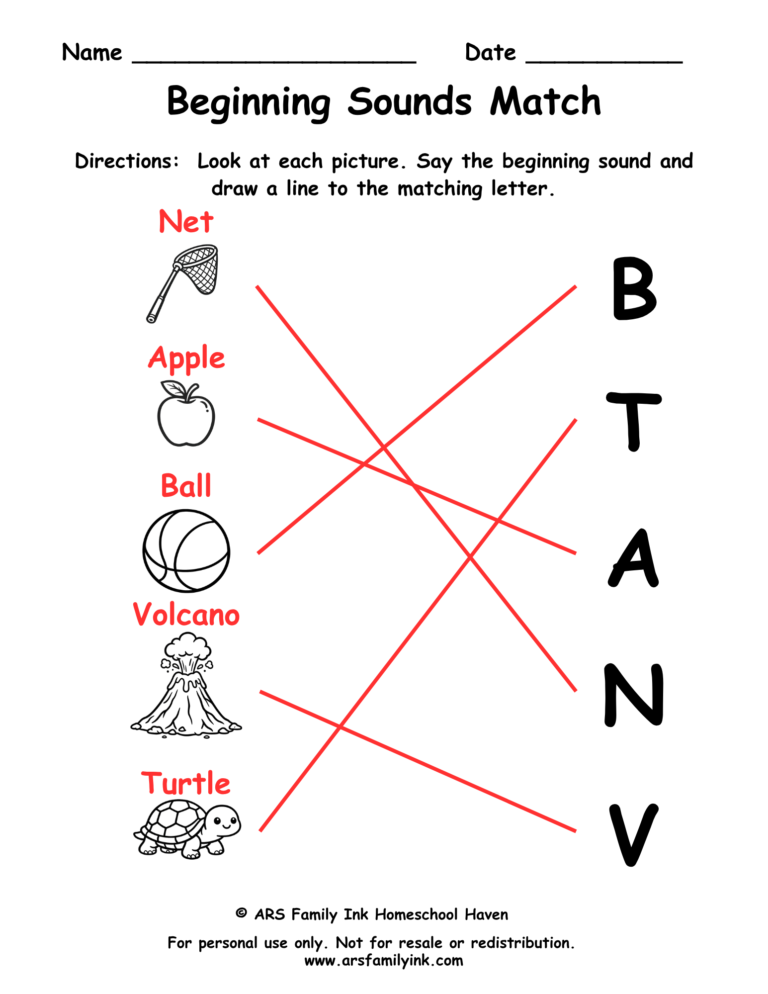 Beginning sounds match answer key for a preschool phonics worksheet showing pictures connected to the correct beginning letter sounds.