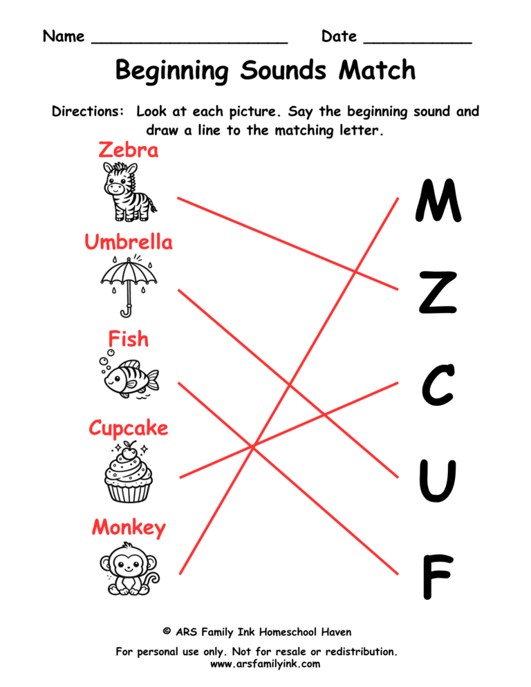 Beginning sounds match answer key for a preschool phonics worksheet showing pictures matched to the correct beginning letter sounds.