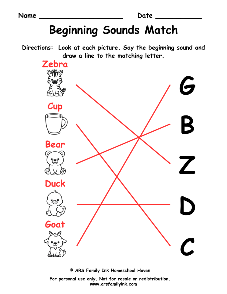 Beginning sounds match answer key for a preschool phonics worksheet with pictures connected to the correct beginning letter sounds.