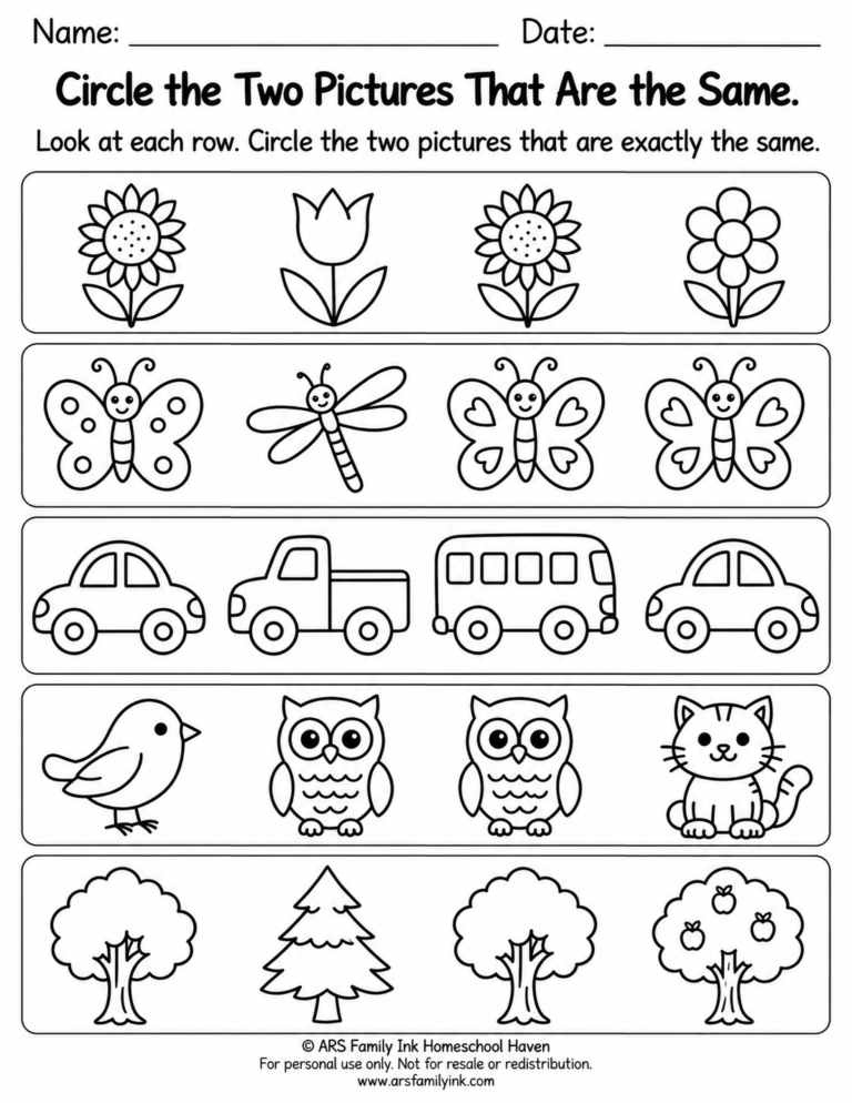 Preschool matching worksheet with five rows of flowers, insects, vehicles, animals, and trees; children circle two identical pictures in each row.