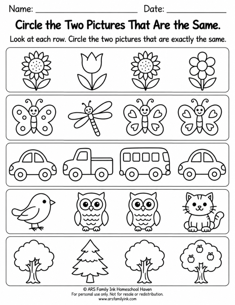 Preschool matching worksheet with five rows of flowers, insects, vehicles, animals, and trees; children circle two identical pictures in each row.