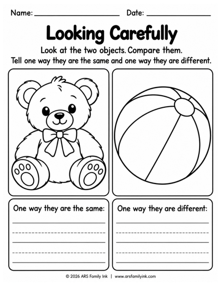 Looking Carefully kindergarten science worksheet comparing a teddy bear and ball to identify similarities and differences