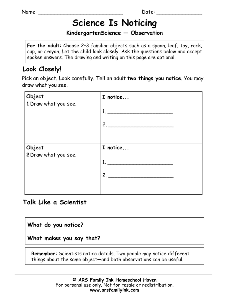 Science Is Noticing kindergarten science worksheet for observing familiar objects and describing details